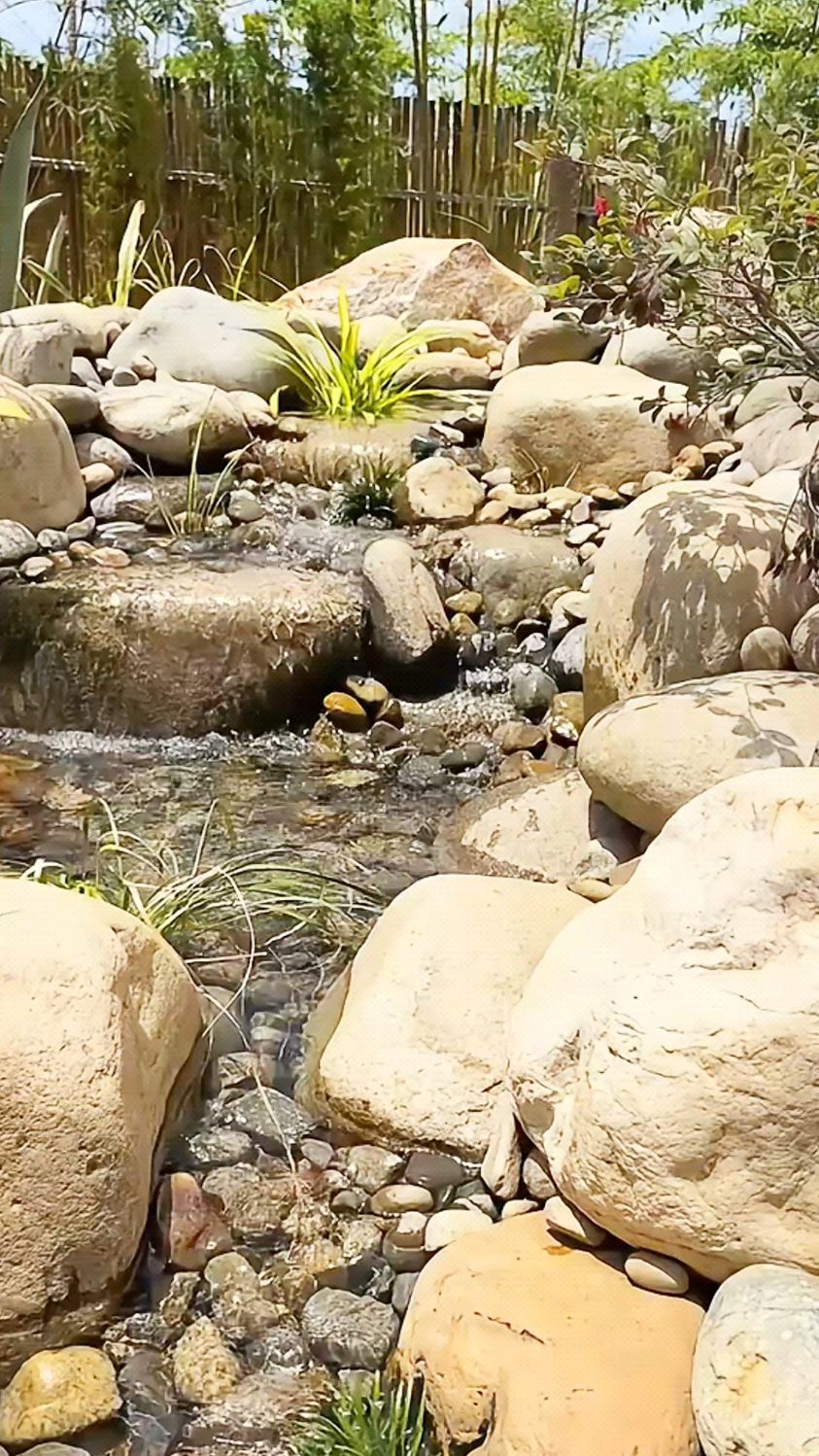 想给花园添加一份灵动，试试这生态鱼池