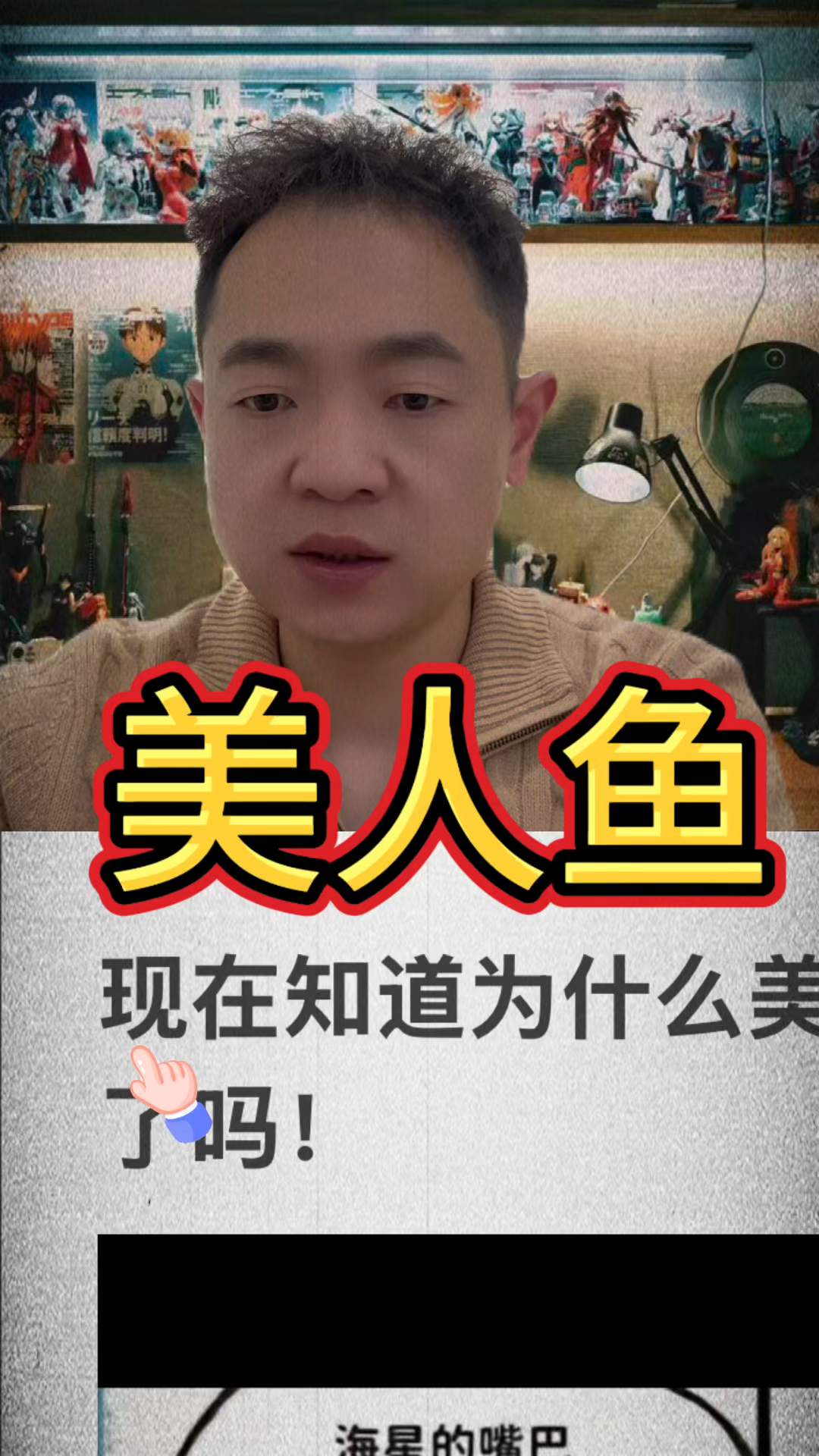 为什么美人鱼没有带子