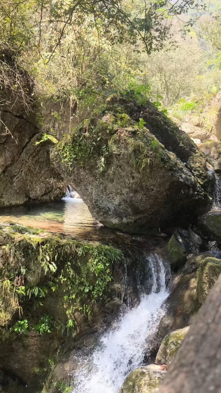 这里就是青城山小溪潺潺,瀑布飞流,享受大自然的宁静与美丽