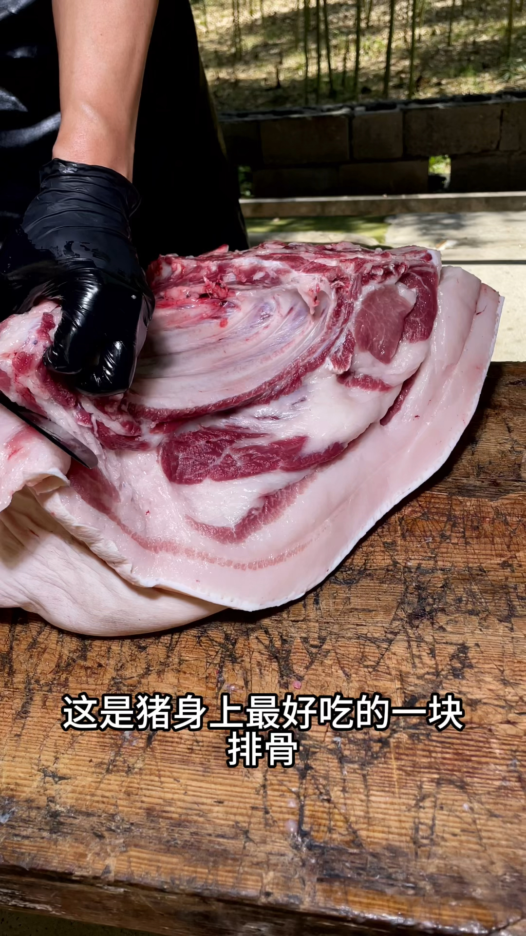 这是猪身上最好吃的一块排骨,这块排骨在猪的前腿上