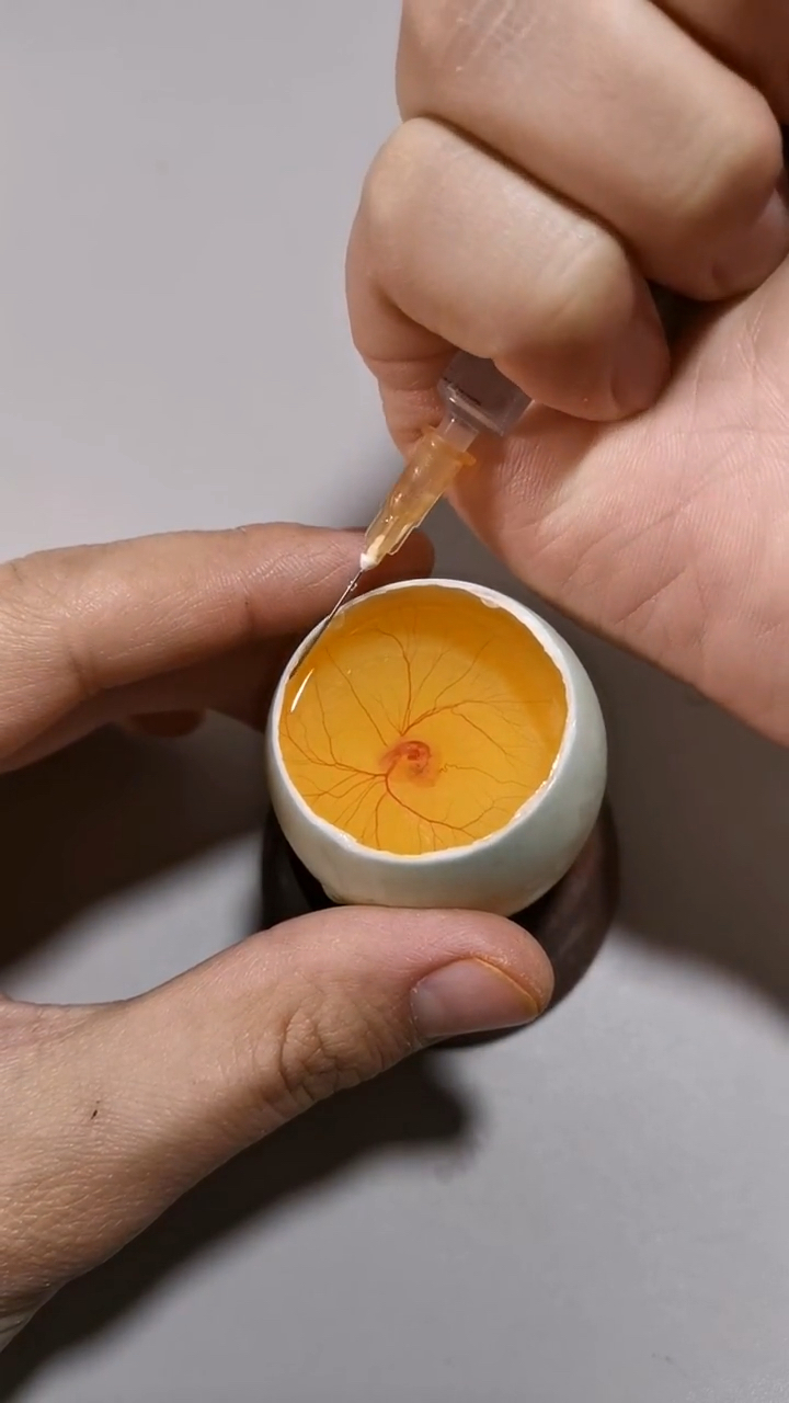 鸭蛋壳孵化小鸡第五天