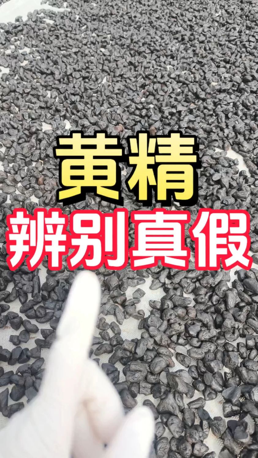 为什么你吃的黄精不管用？