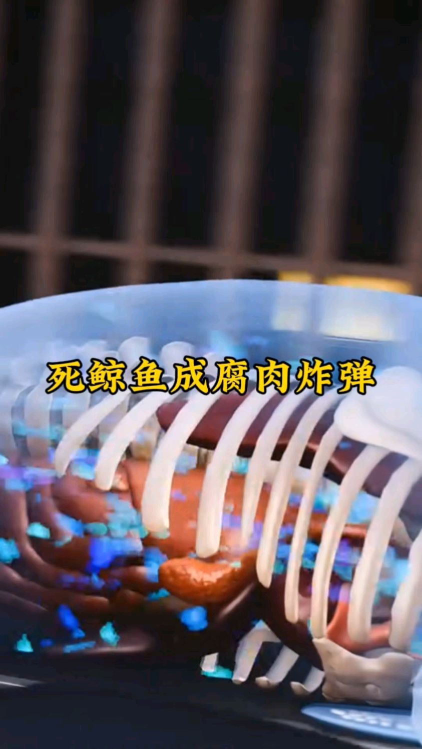 腐肉炸弹,鲸鱼死后,腹部气体发胀到极致就会爆炸。