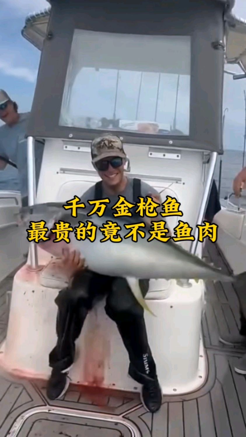 千万金枪鱼，最贵的竟不是鱼肉？富豪圈“骨髓认证”才叫真壕！