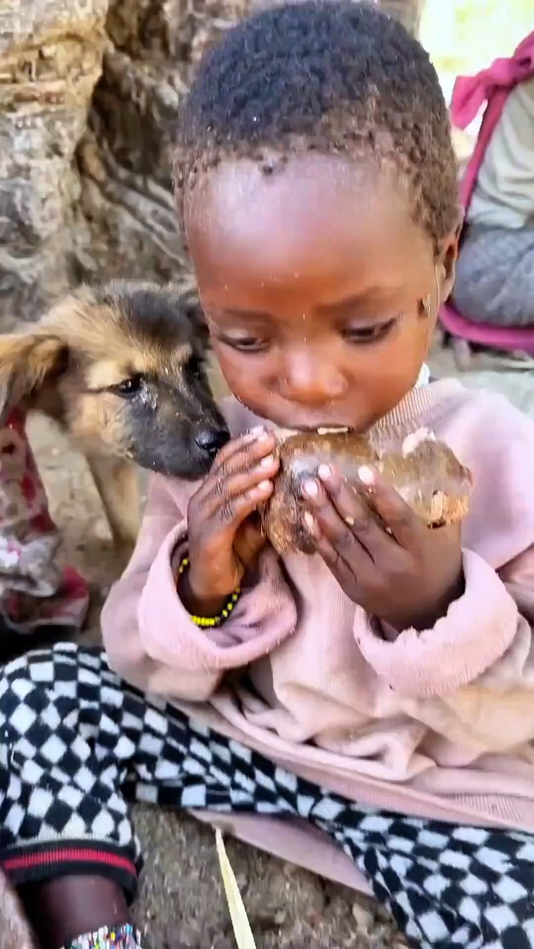 非洲的生活记录！