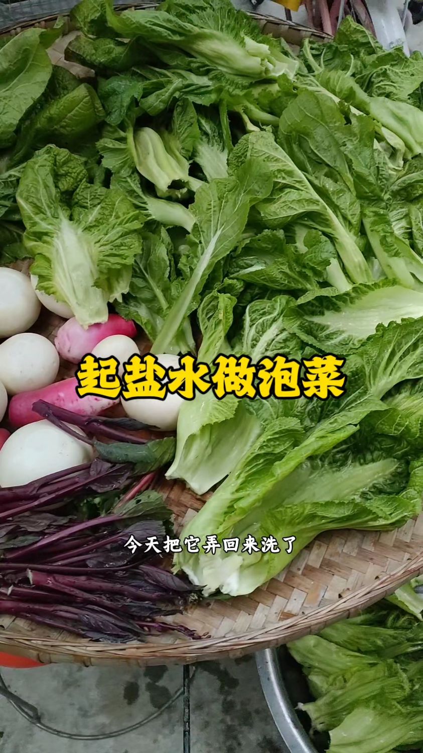 为了自己种的青菜特意买了坛子起盐水做泡菜