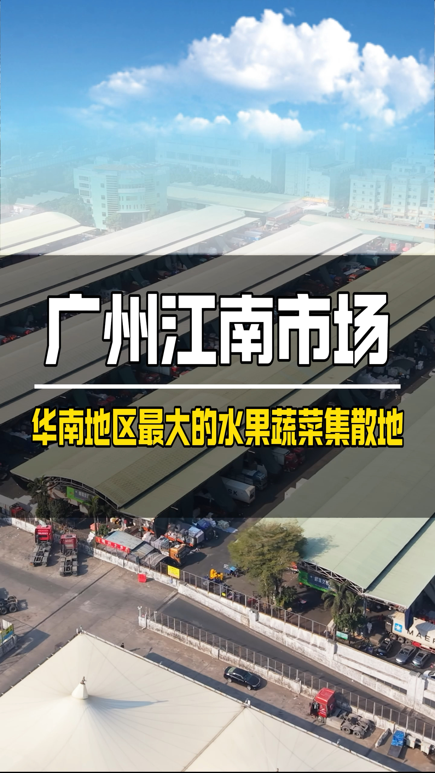 华南地区最大的果蔬批发市场 广州江南市场