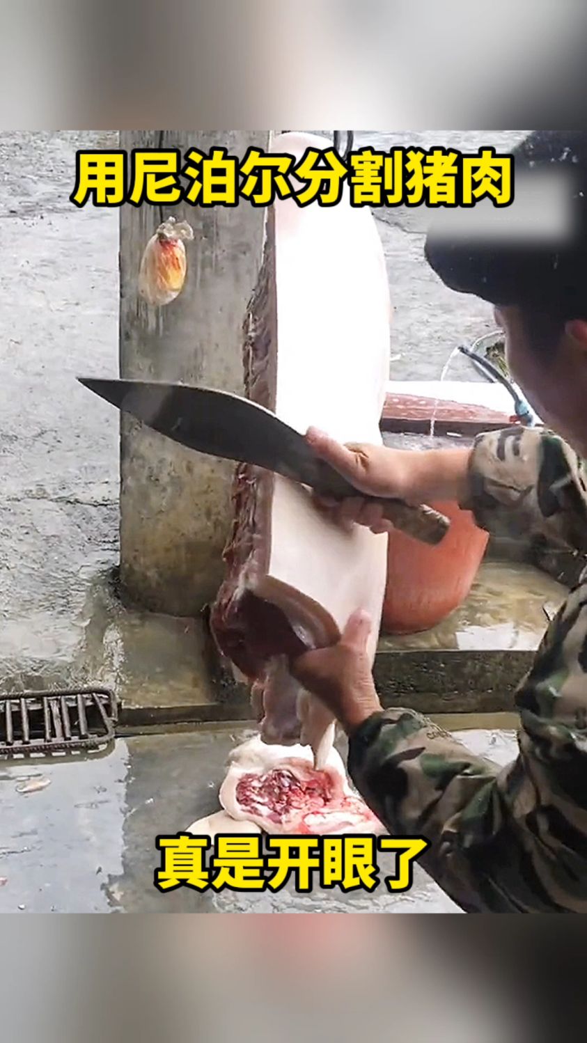 用尼泊尔分割猪肉,真是开眼了