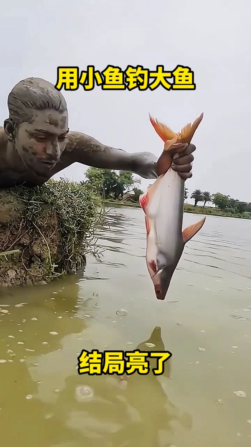 用小鱼钓大鱼,结局亮了