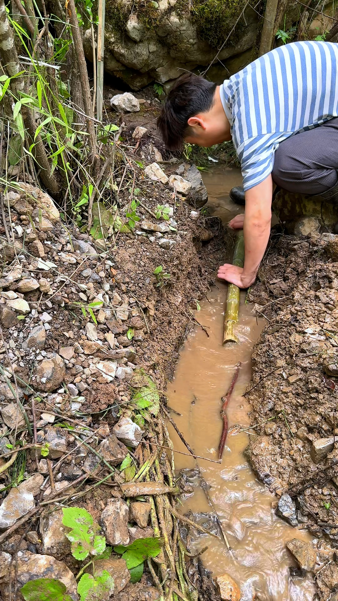 小鱼塘排水用竹筒，我还是太会玩了。