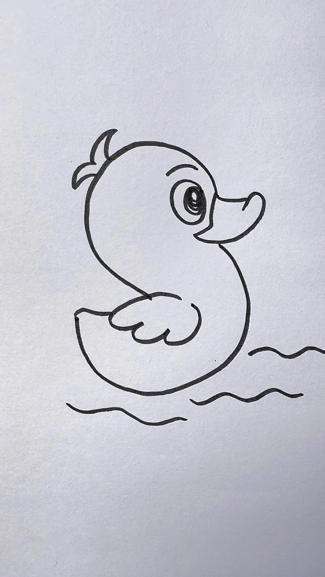 小鸭子简笔画可以这样画