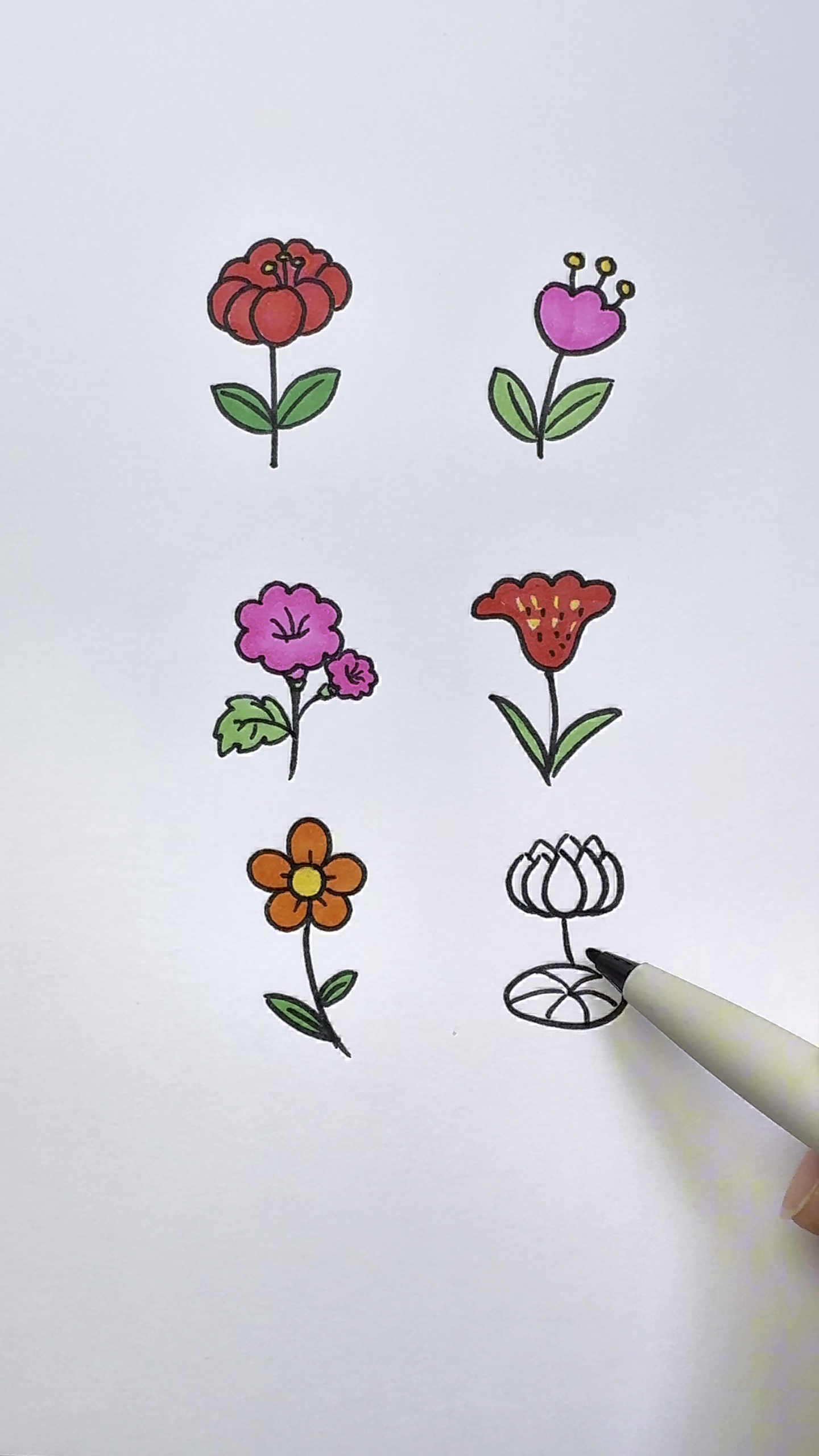 画六种不同的花朵,你也试试吧