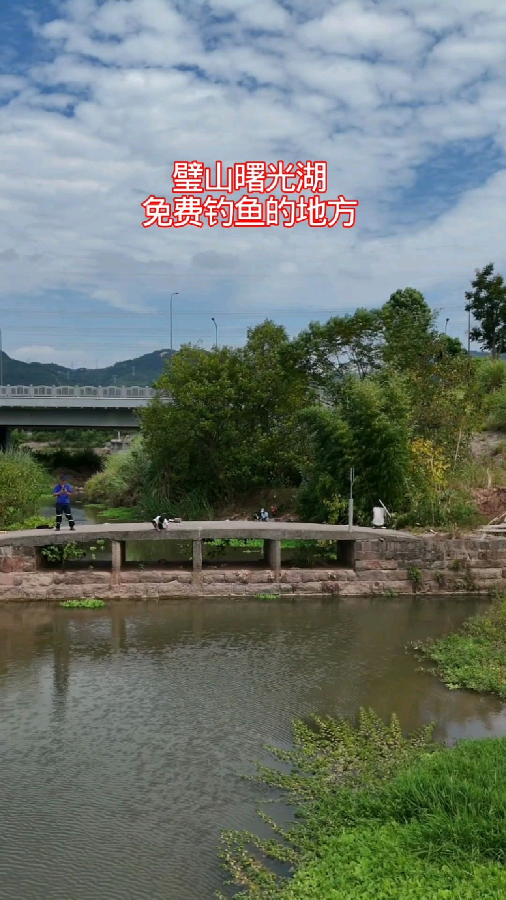 璧山曙光湖免费钓鱼的地方,这里即将被新建的曙光湖公园给淹掉