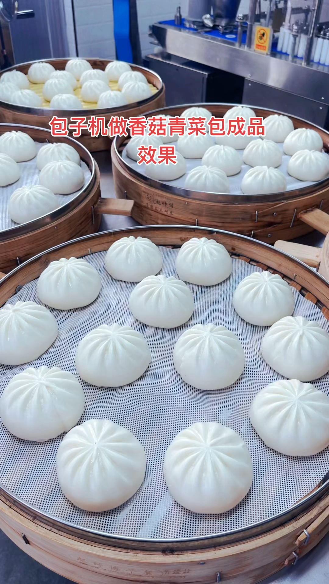 包子机做香菇青菜包馅料下不去,面皮不蓬松什么解决?面粉500