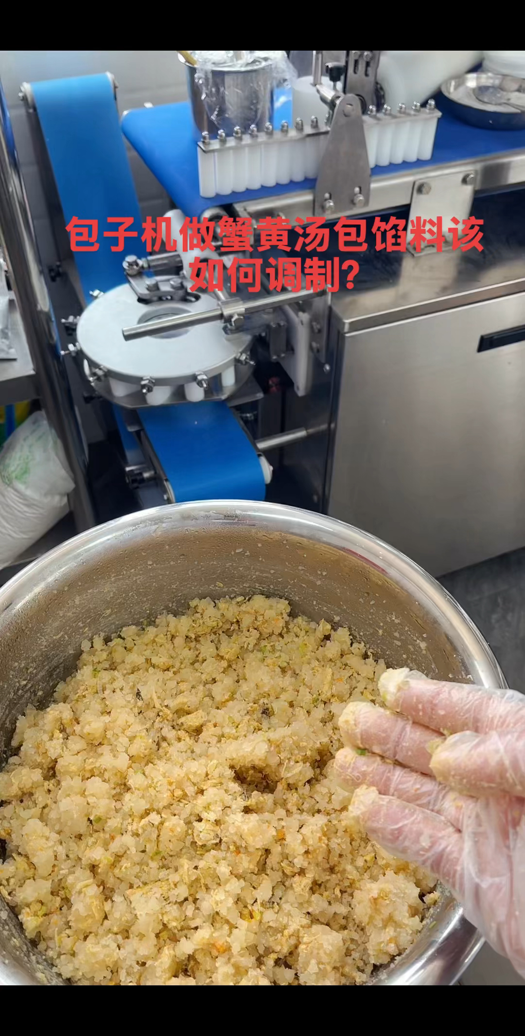 包子机做蟹黄汤包馅料配方:皮冻2斤,复合香料10克,盐2克