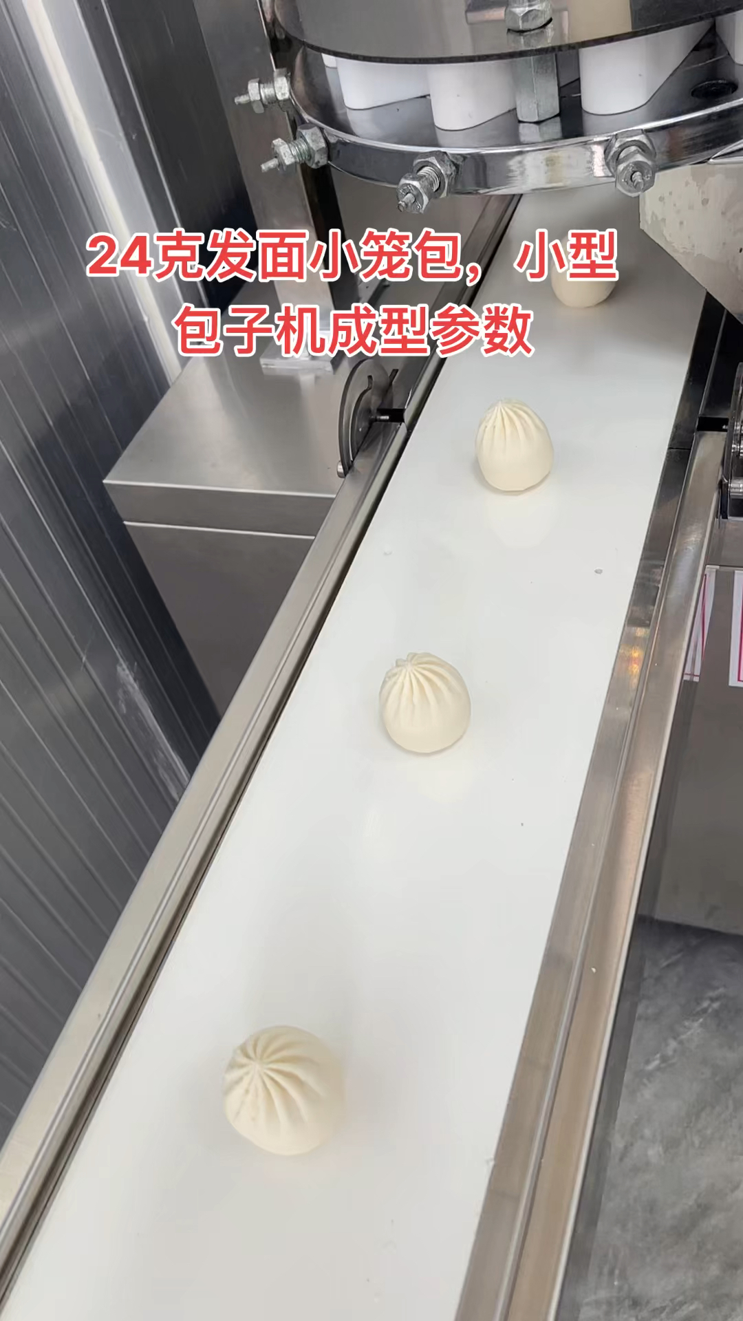 小型包子机做出来的小笼包开裂,漏肉馅,解决方案分享给大家