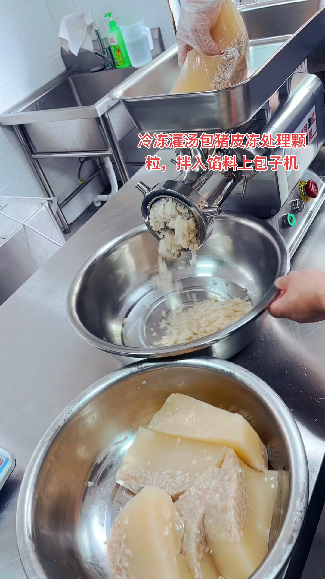 用包子机做冷冻汤包批发,猪皮冻处理中,直接打成颗粒,拌入馅料