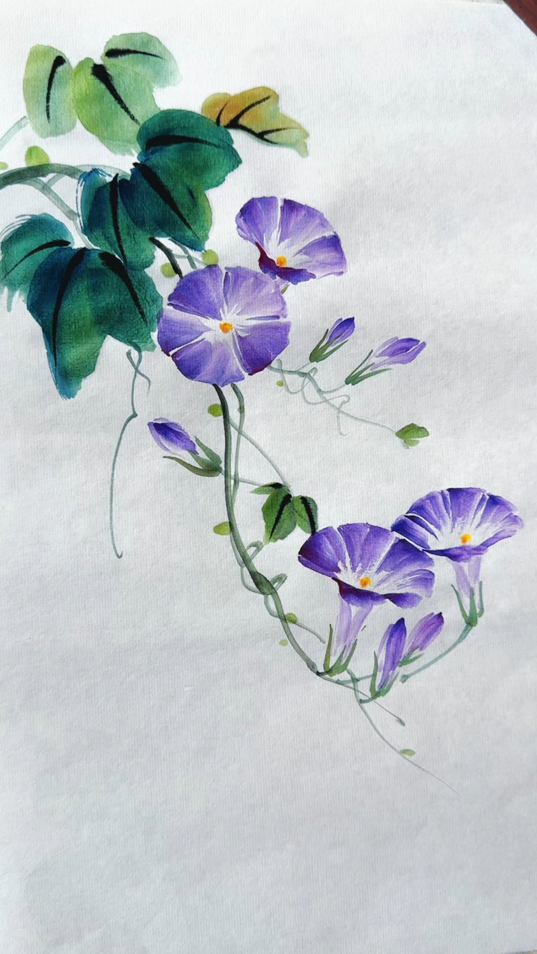 国画写意牵牛花的画法