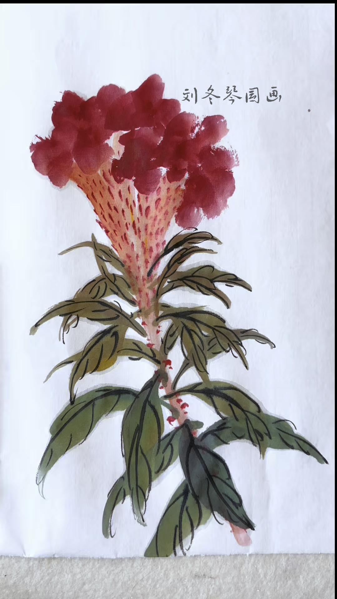 写意鸡冠花的画法