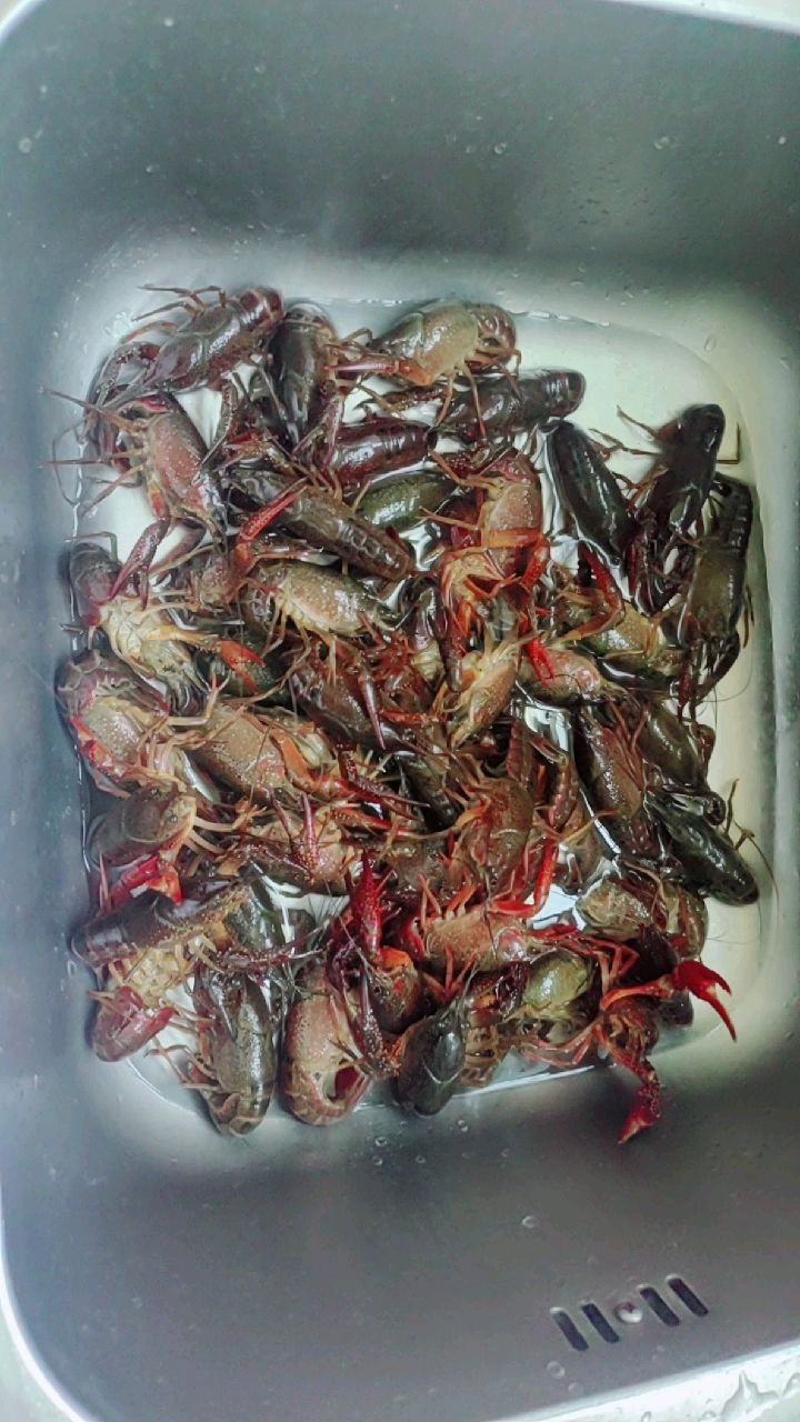 今天烧麻辣小龙虾,12元一斤,你们那是不是这个价格?