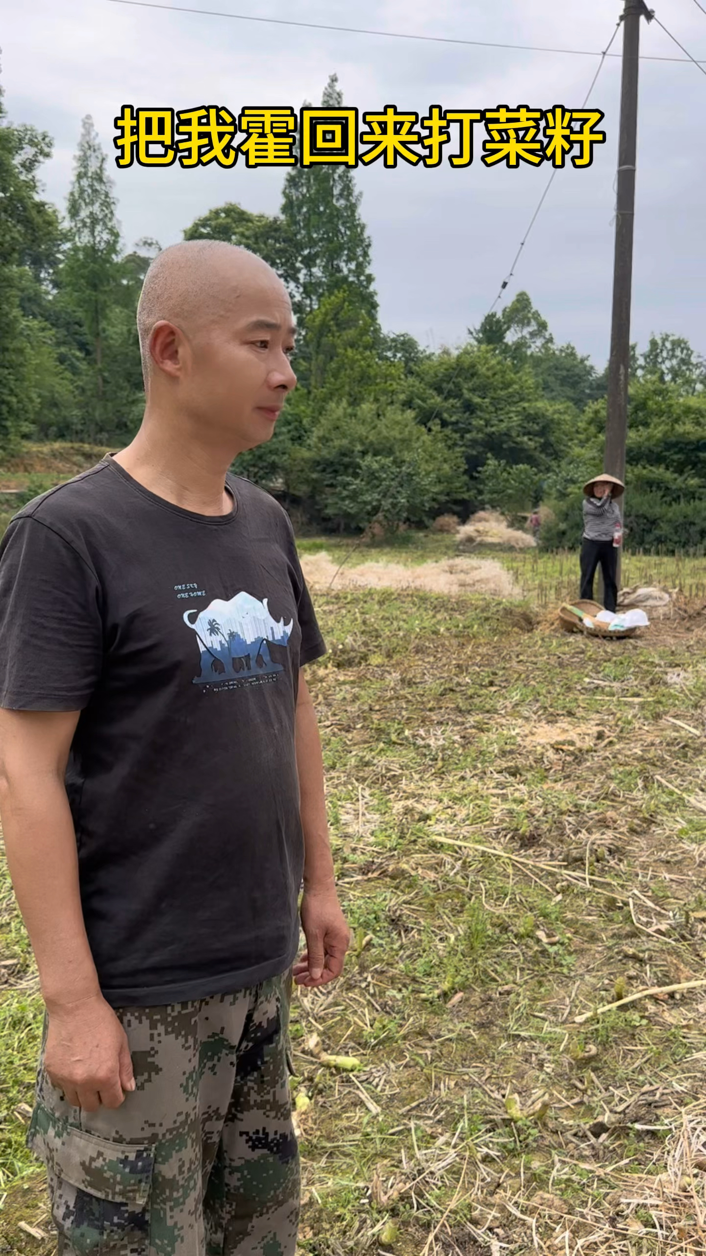 把我霍回来打菜籽