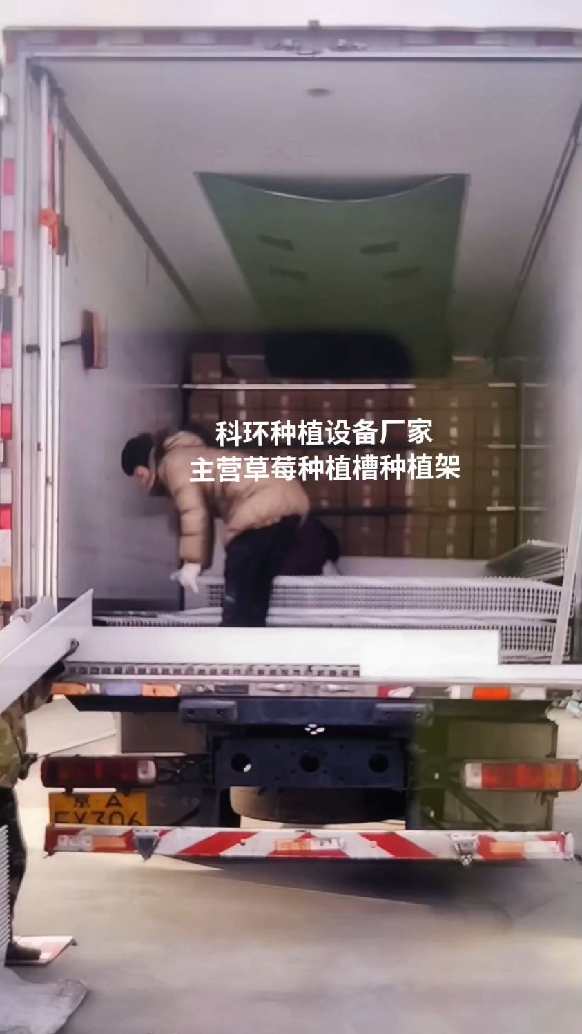 石家庄科环种植设备厂家,主营草莓种植槽种植架无土栽培高架草莓