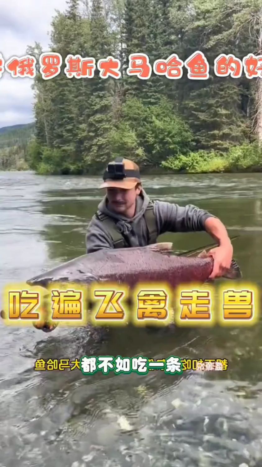 俄罗斯大马哈鱼的