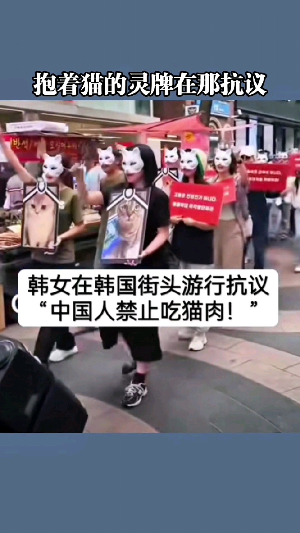 奇葩!韩国人在街头抗议中国人吃猫肉