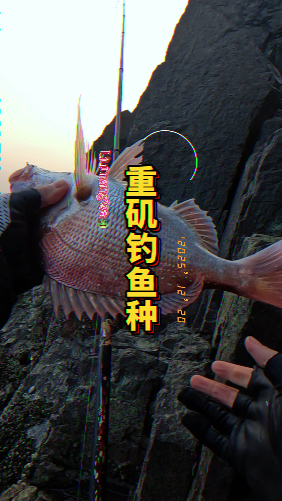 用淡菜重矶钓上的鱼，你们认识几种