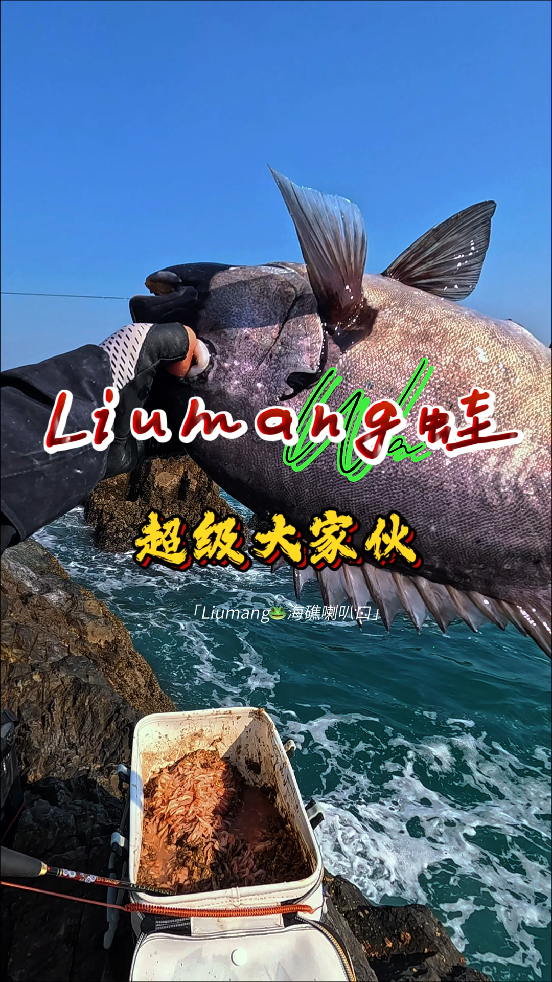 中国人以成败论英雄，这条鱼上来今天我成功了