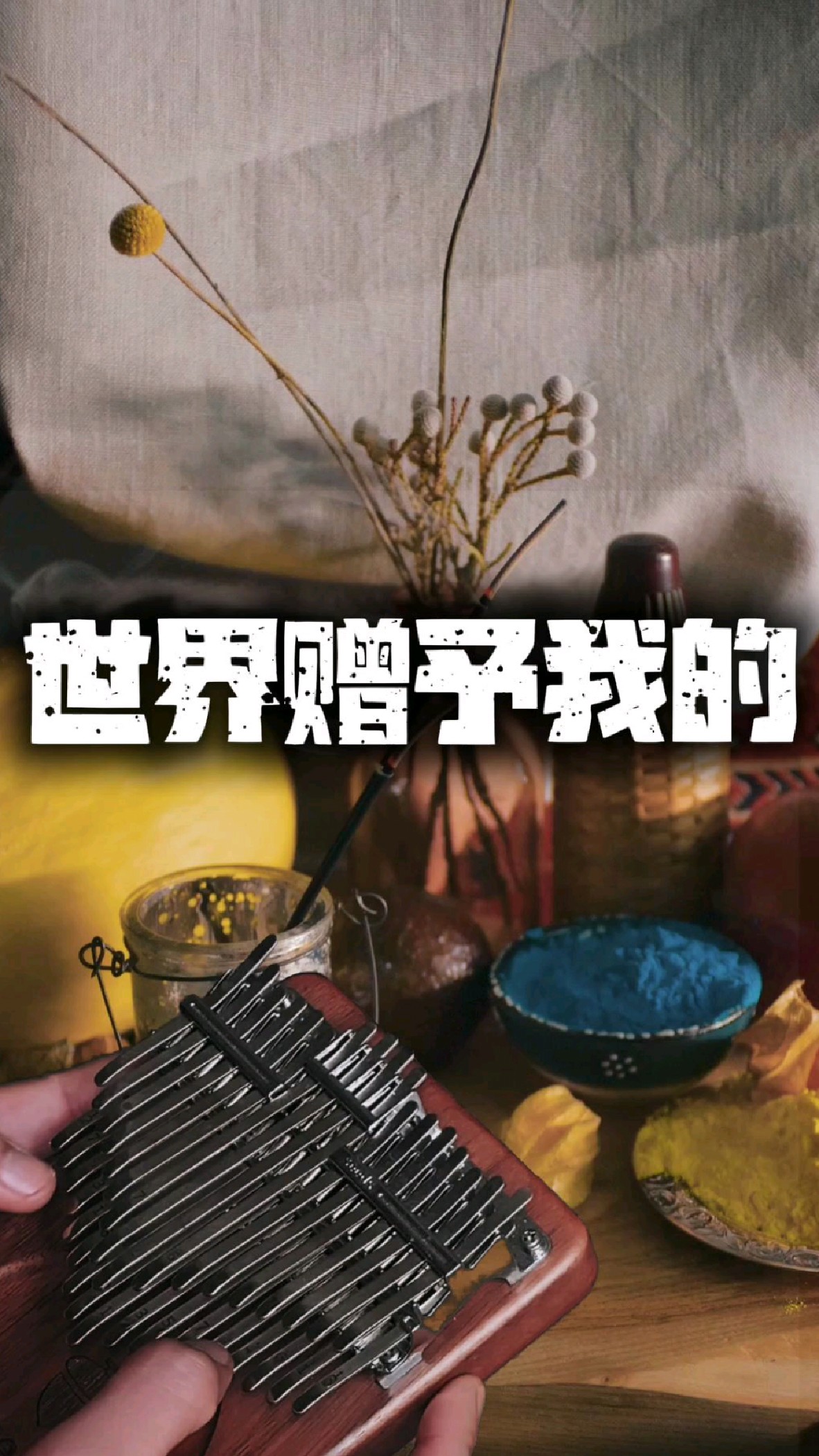 拇指琴弹奏《世界赠予我的》-王菲