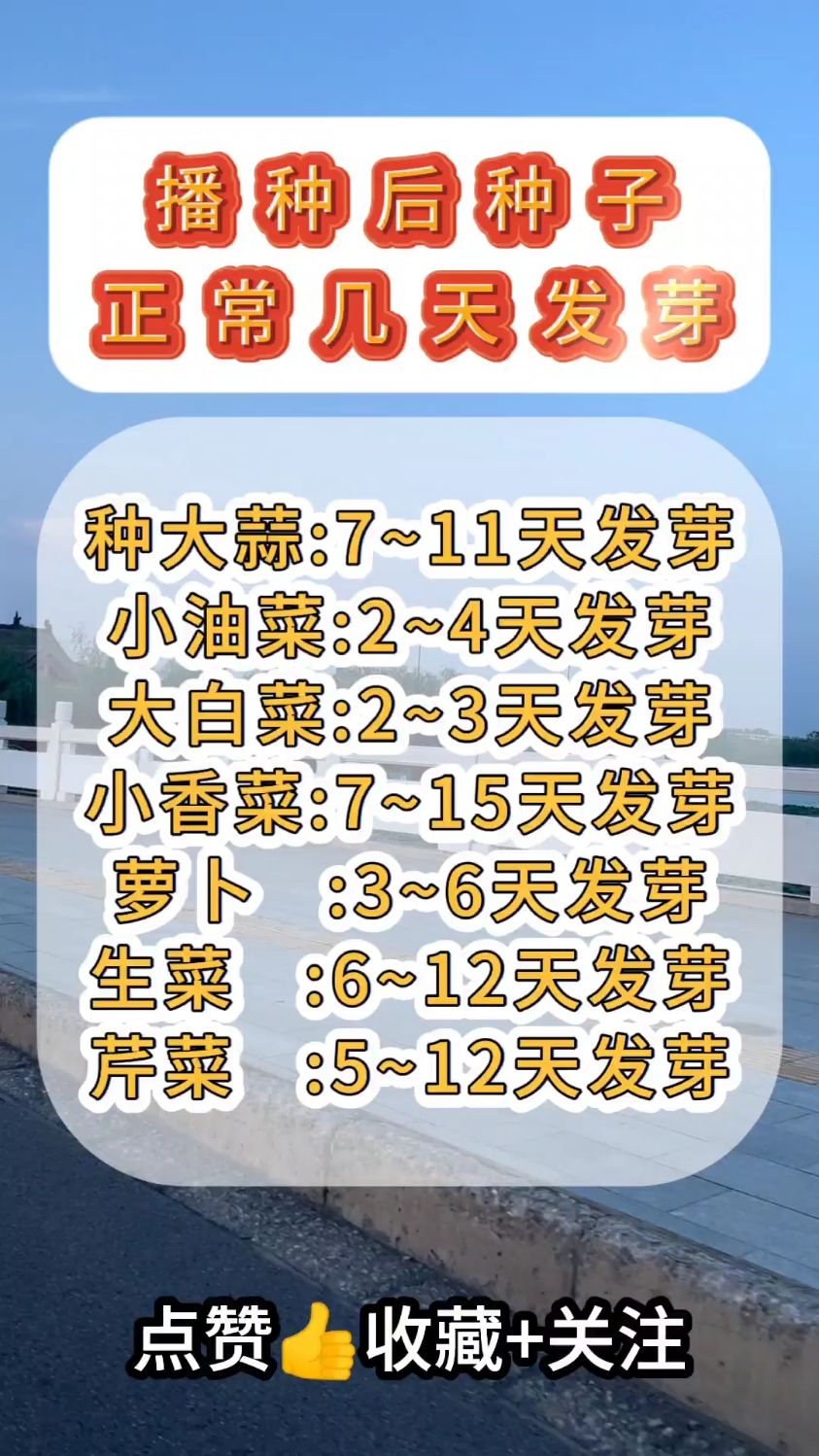 种子几天发芽才正常
