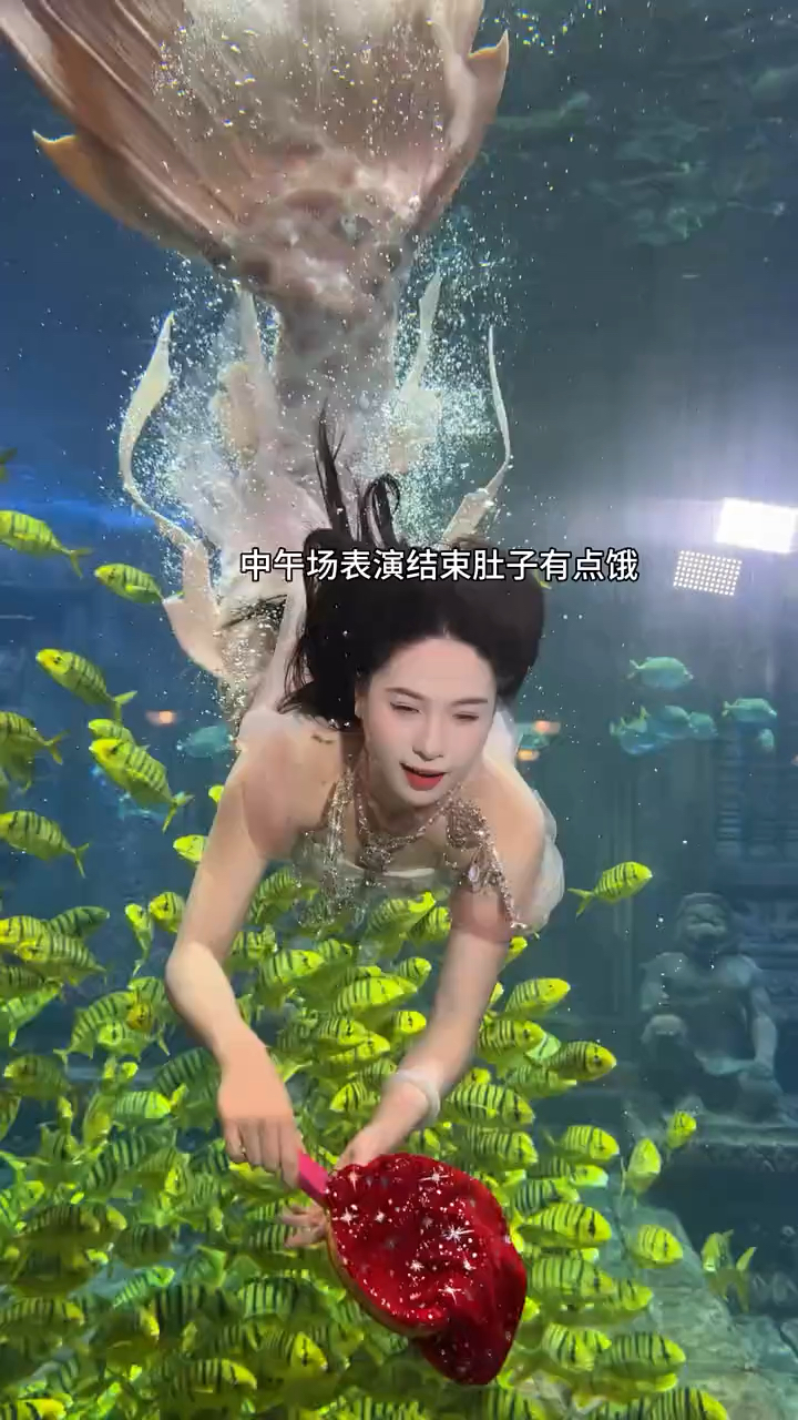 美人鱼真的是太美了