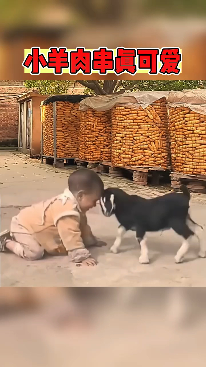 这小肉串也太可爱了