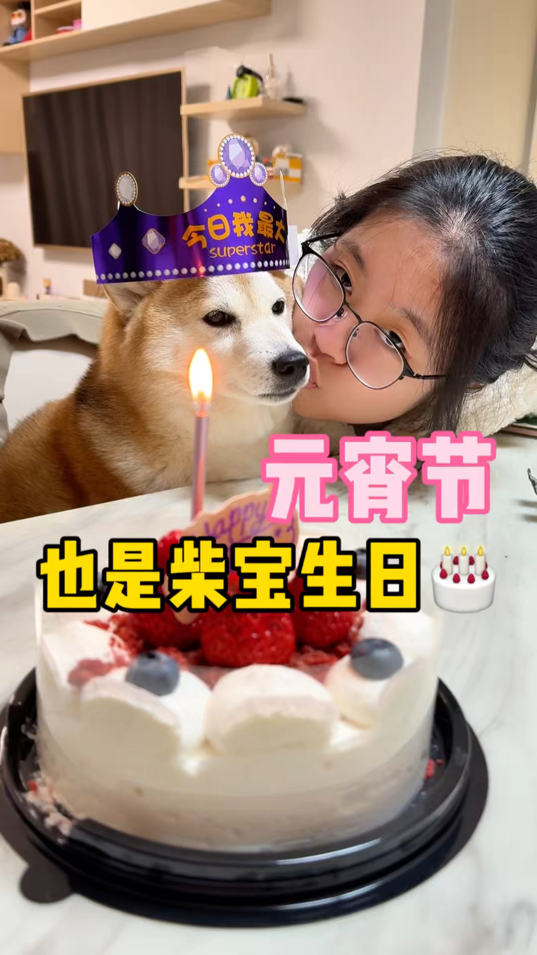 高中生的元宵节｜给柴宝过生日又能吃蛋糕了