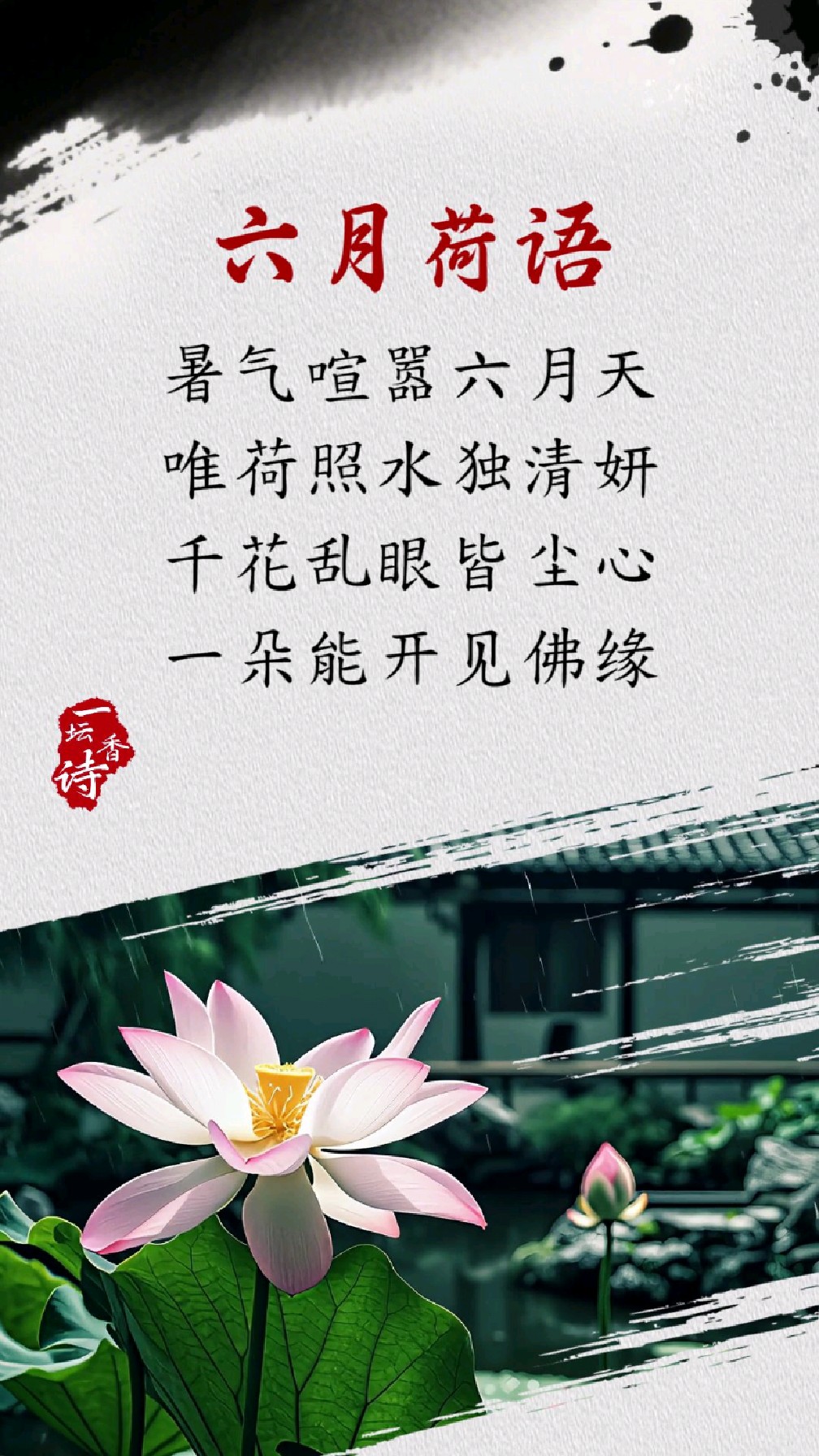 六月天又到了荷花盛开的季节,一首荷花的诗词