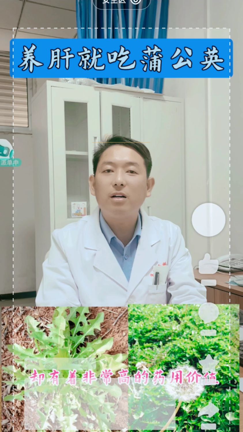 蒲公英竟然还有这功效?