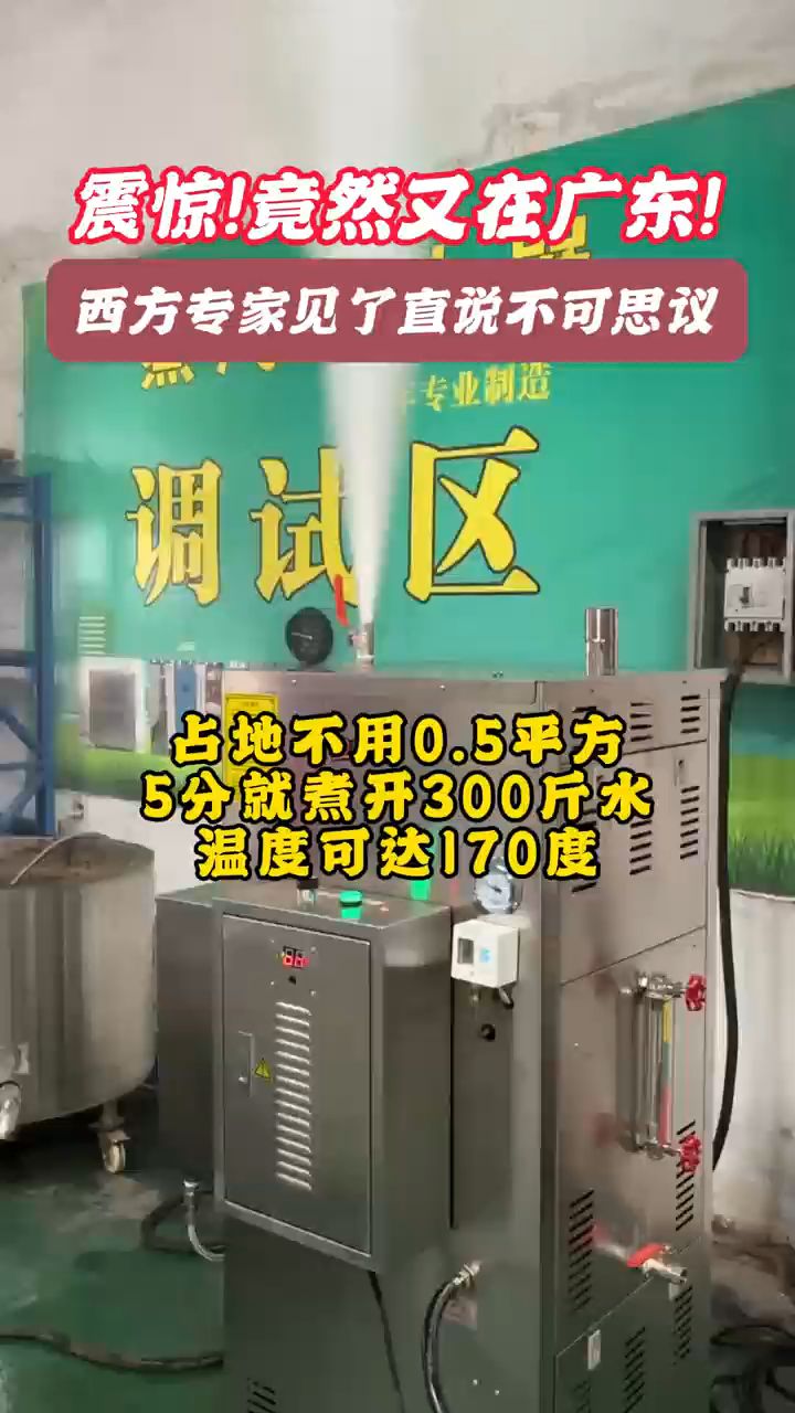 #电蒸汽发生器 #电锅炉 #电加热蒸汽发生器 #煮水 #蒸汽机