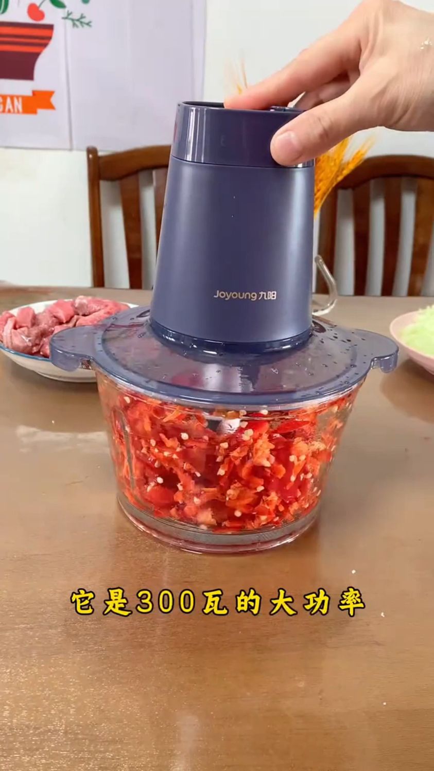 九阳绞肉机家用电动多功能
