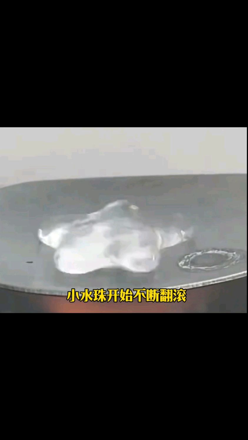 中间变成派大星的那一刻真的有被可爱到～
