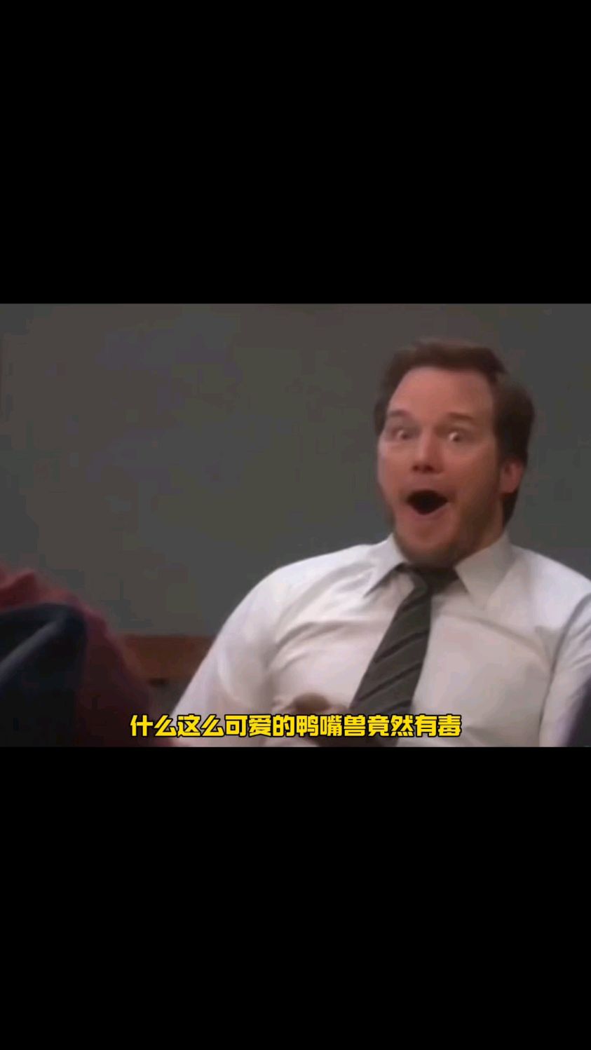 鸭嘴兽是bug生物!!