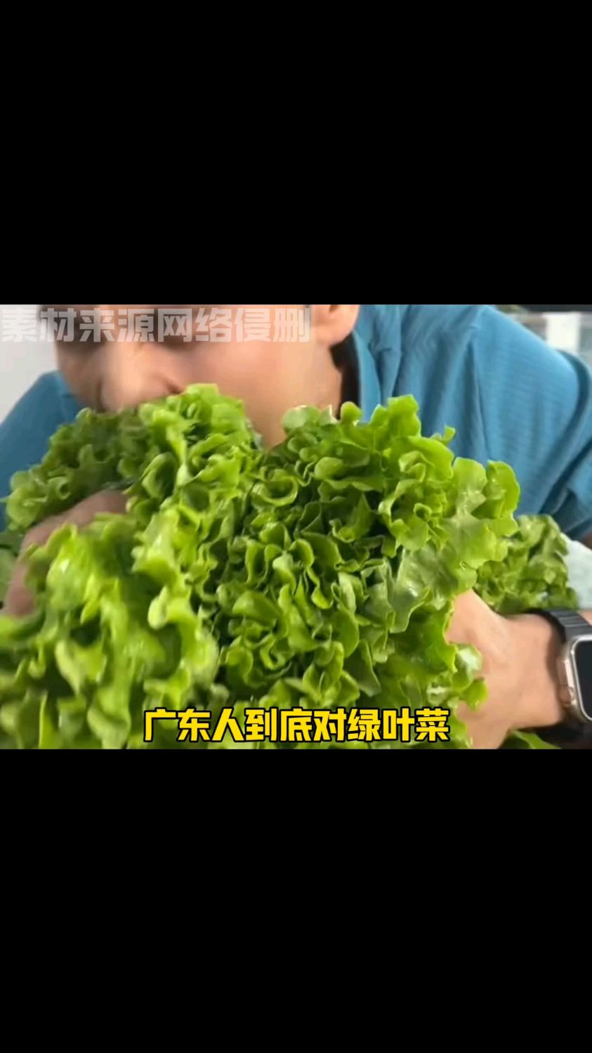 广东人对绿叶菜有多执着