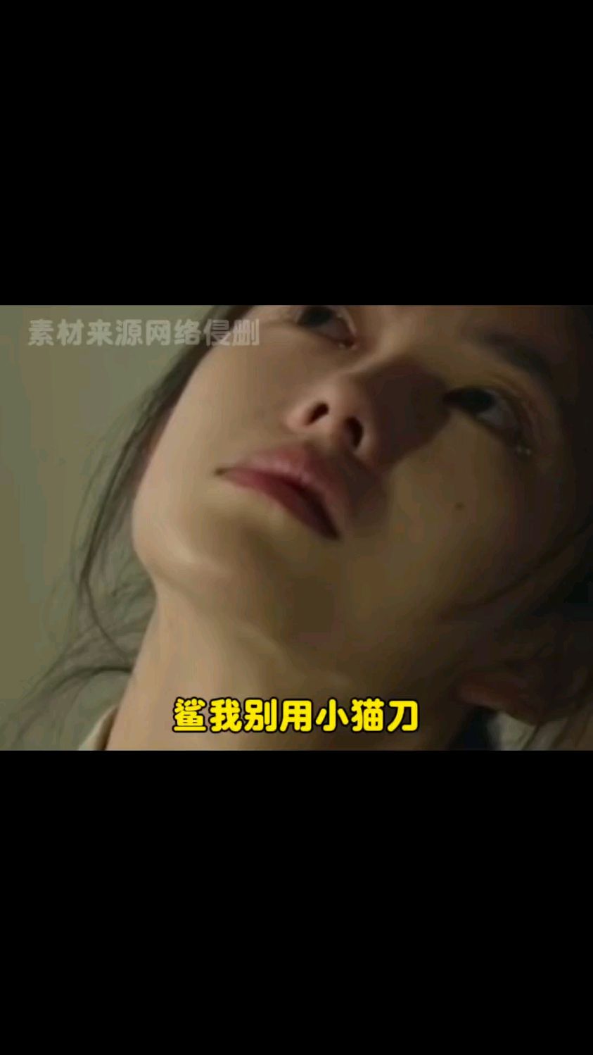 鲨我别用小猫刀呜呜呜