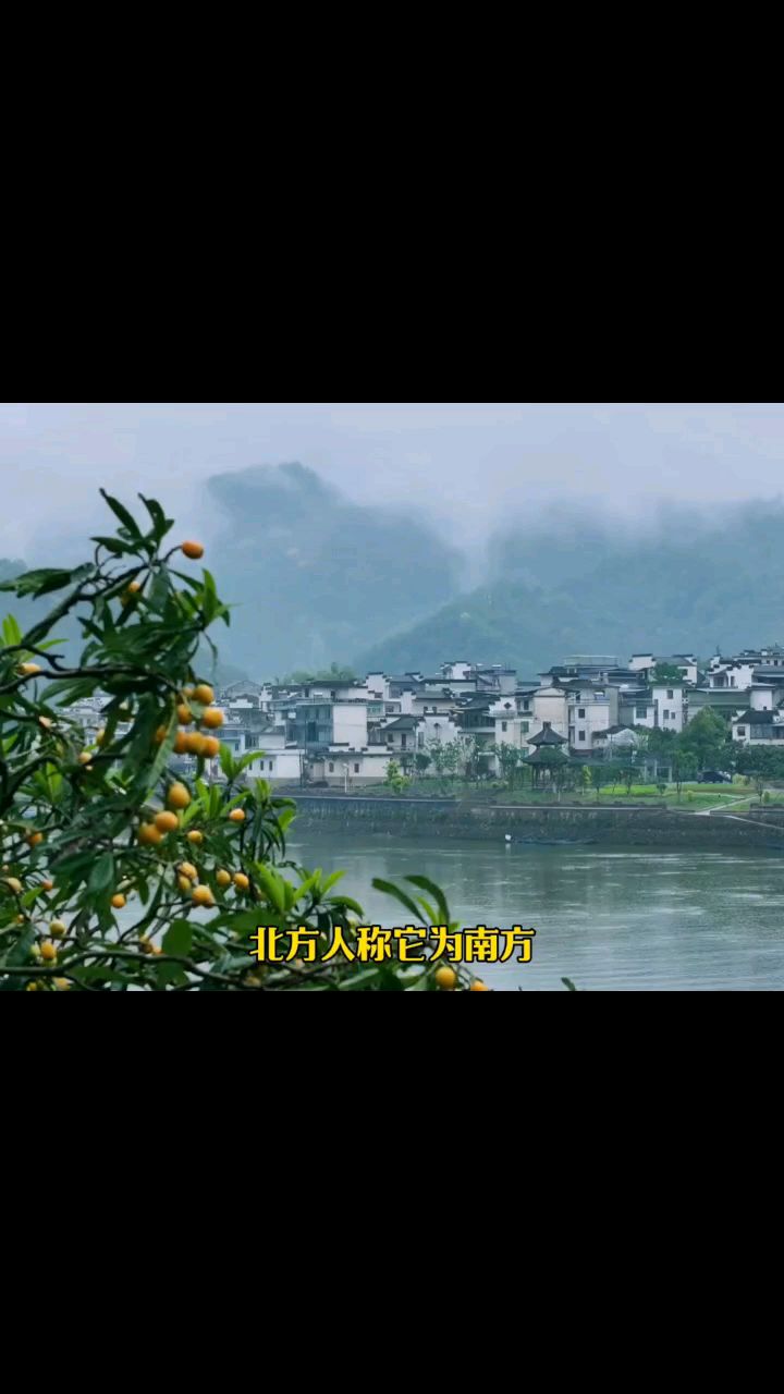看到饺子汤圆一起煮我沉默了