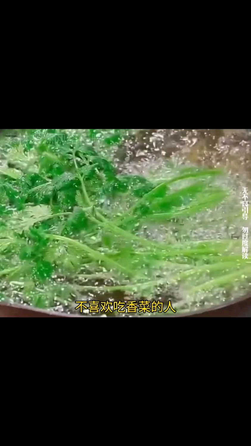 有些人不爱吃香菜的原因