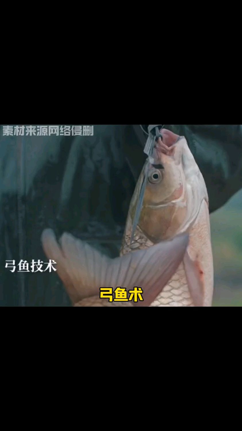 福建非遗:弓鱼术