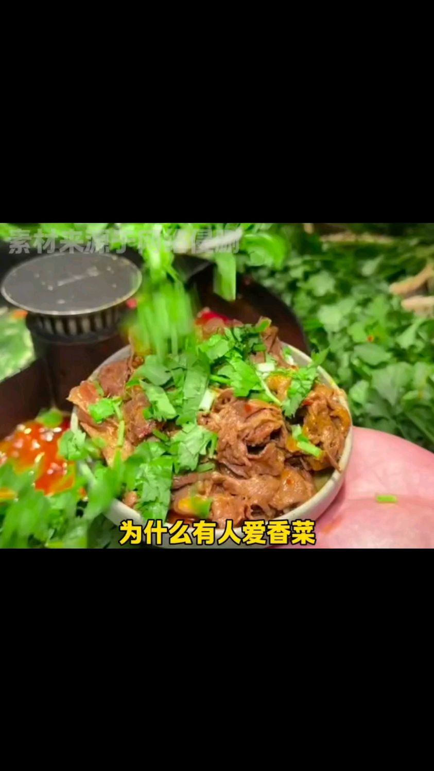 不爱吃香菜的人原来是这个原因啊