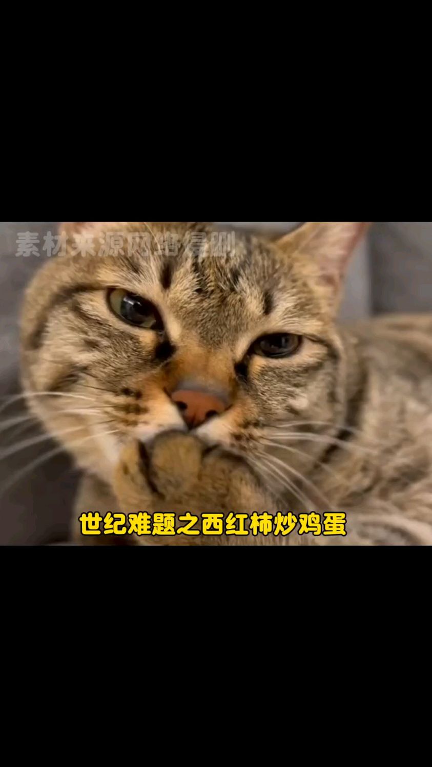西红柿炒鸡蛋到底哪种口味好吃