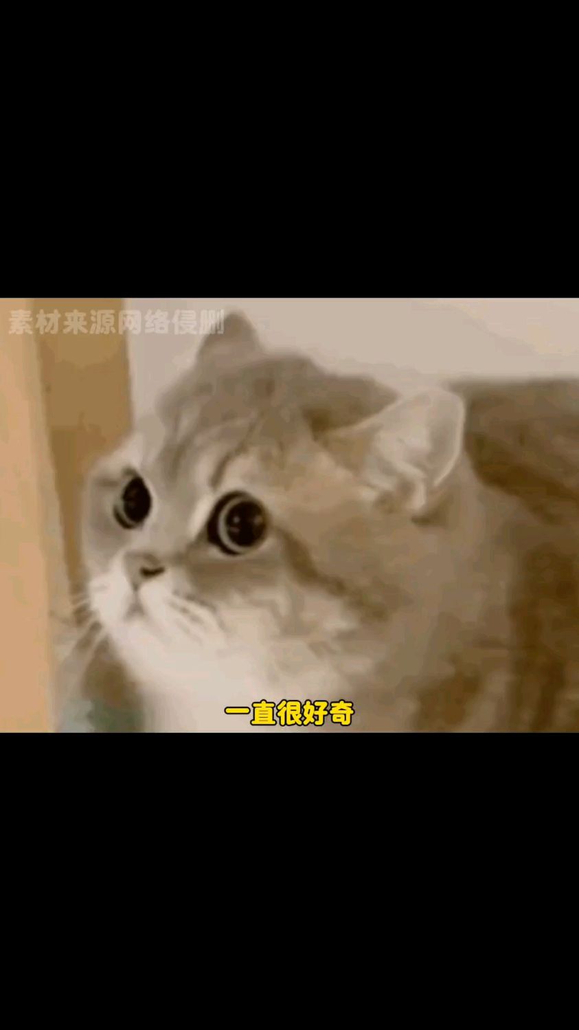 披萨中间的小凳子原来是这用处