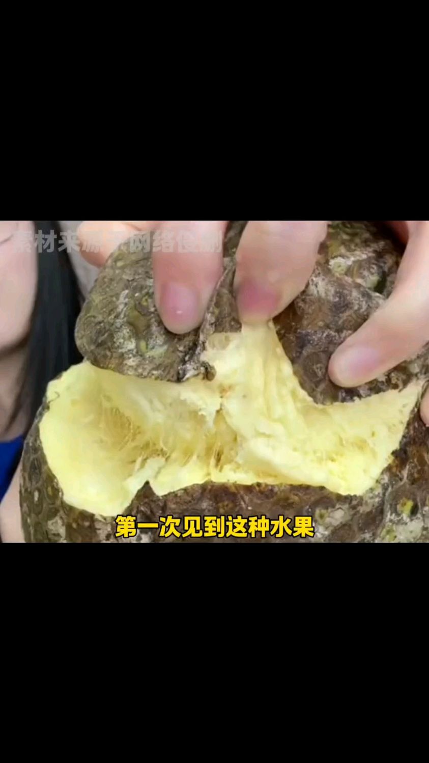 面包果,没听价格都准备买一个尝尝了